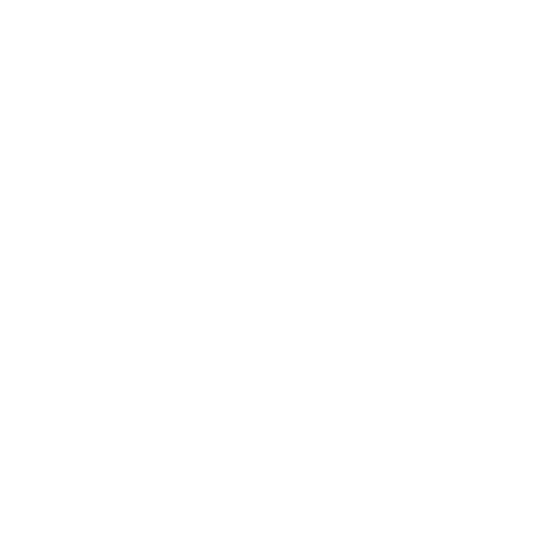Jett logo