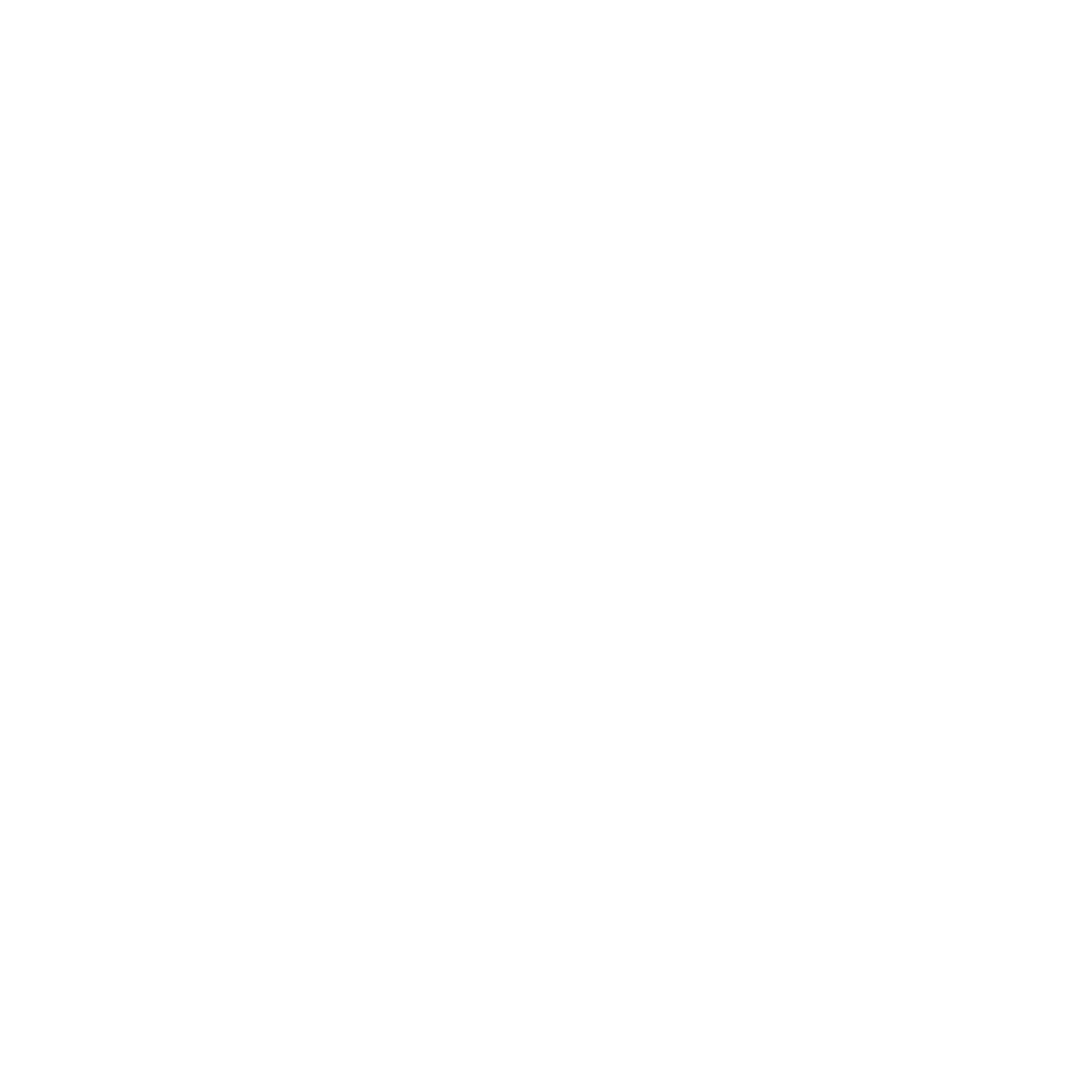 Jet logo