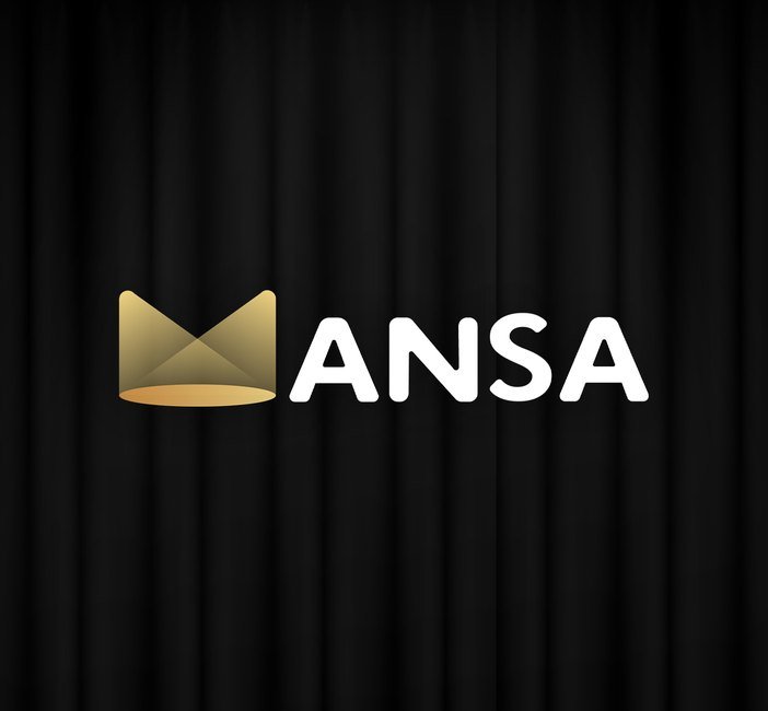 Mansa — web design